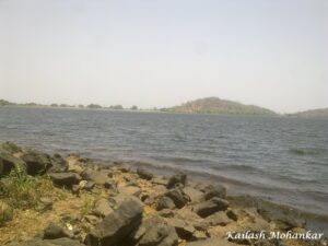Forests in Maharashtra | महाराष्ट्रातील वने व वनांचे प्रकार आणि अभयारण्ये_70.1