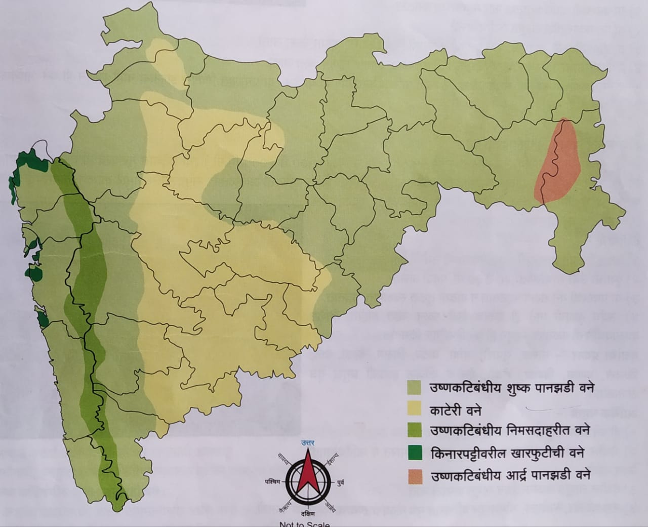 महाराष्ट्रात वनस्पतींचे प्रमुख वैशिष्ट्यपूर्ण प्रकार