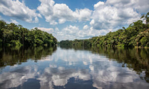 Longest River in the World, List of Top 10 Largest & Longest Rivers: Study Material for MHADA Exam_130.1