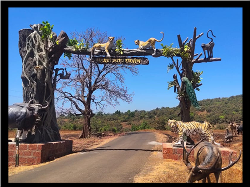 Chandoli-National-Park-in-Maharashtra