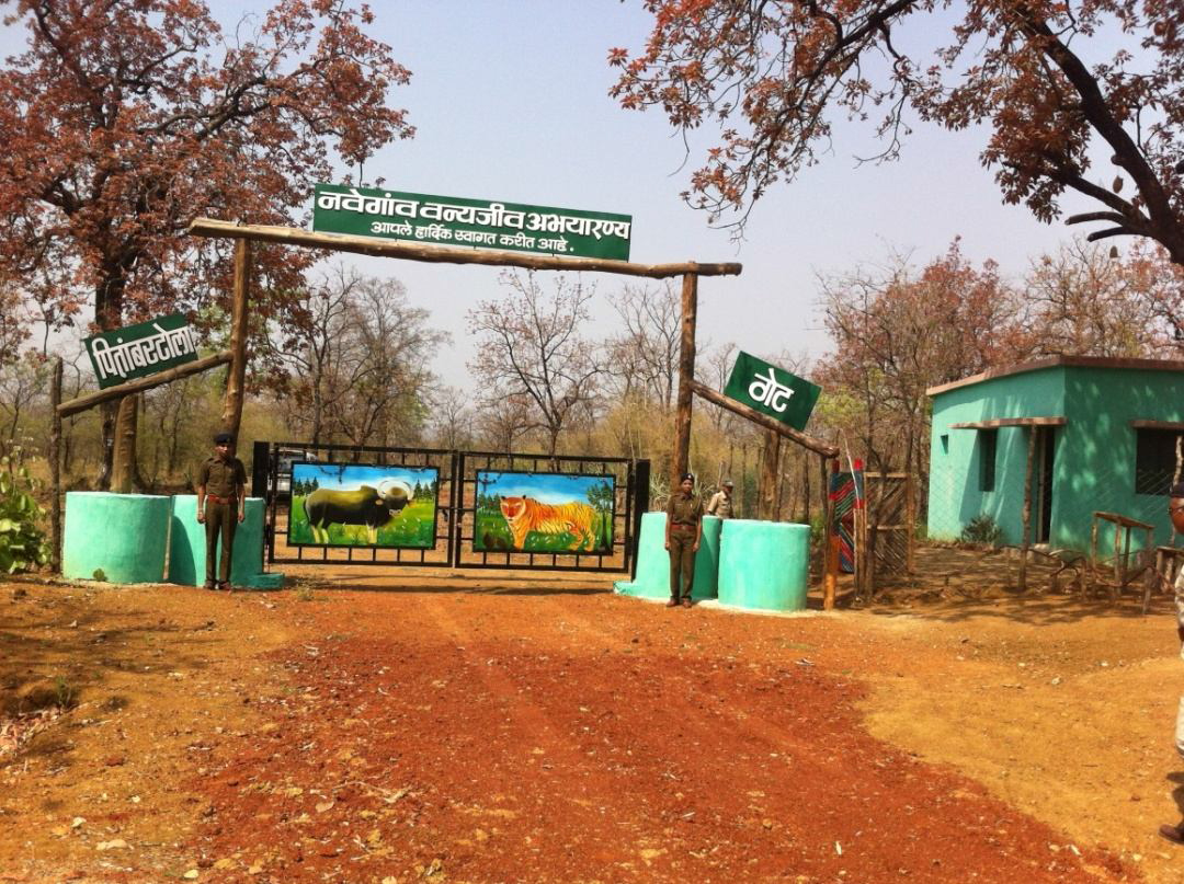 नवेगाव बांध राष्ट्रीय उद्यान