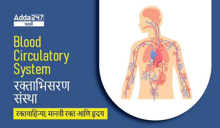 Blood Circulatory System