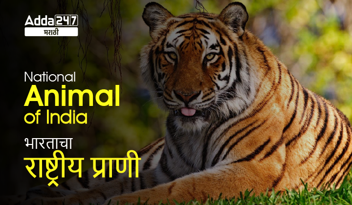 National Animal of India