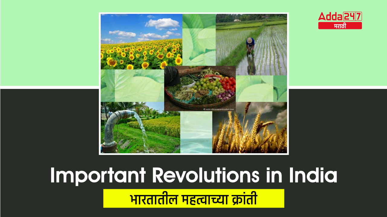 Important Revolutions in India