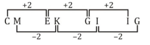 Reasoning Quiz For Talathi Bharti: 30 January 2023_4.1