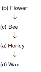 Reasoning Quiz For MAHA-TAIT Exam: 18 February 2023_10.1