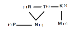 Reasoning Quiz For MAHA-TAIT Exam: 24 February 2023_6.1