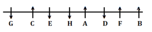 Reasoning Quiz For Van Vibhag Exam: 06 March 2023_4.1