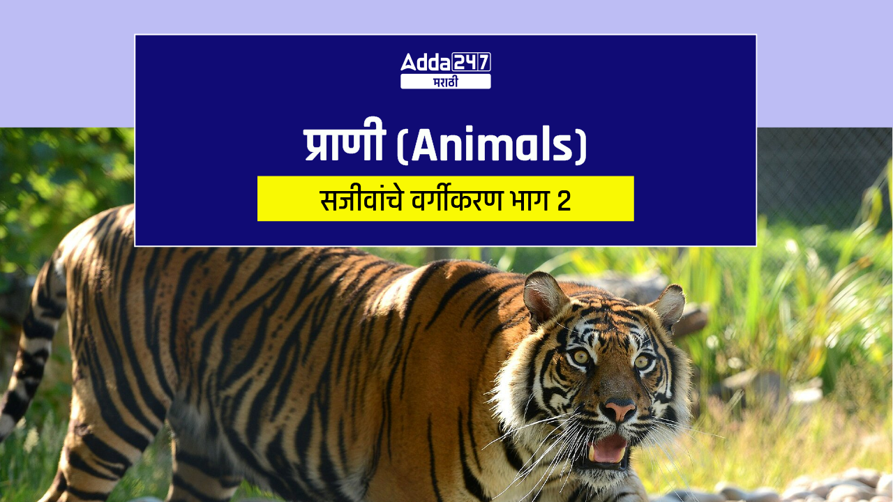 सजीवांचे वर्गीकरण भाग 2 - प्राणी