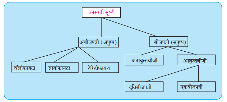 वनस्पतींचे वर्गीकरण | Classification of plants : महाराष्ट्र स्टेट बोर्ड सिरीज | Maharashtra State Board Series_3.1
