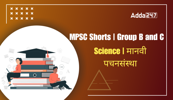 MPSC Shorts Group B and C (4)
