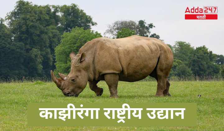 काझीरंगा राष्ट्रीय उद्यान