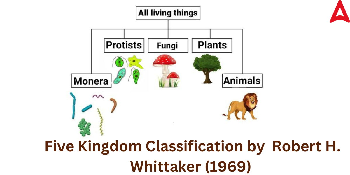पंचसृष्टि वर्गीकरण | Five Kingdom Classification : MPSC Gazetted Civil Services Exam 2024 अभ्यास साहित्य_4.1