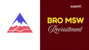 BRO MSW Recruitment 2025