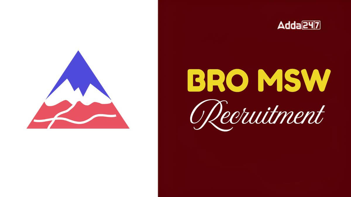 BRO MSW Recruitment 2025