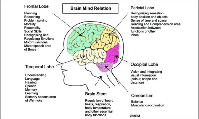 Brain and Emotions: Mapping of Brain and its Emotions_5.1