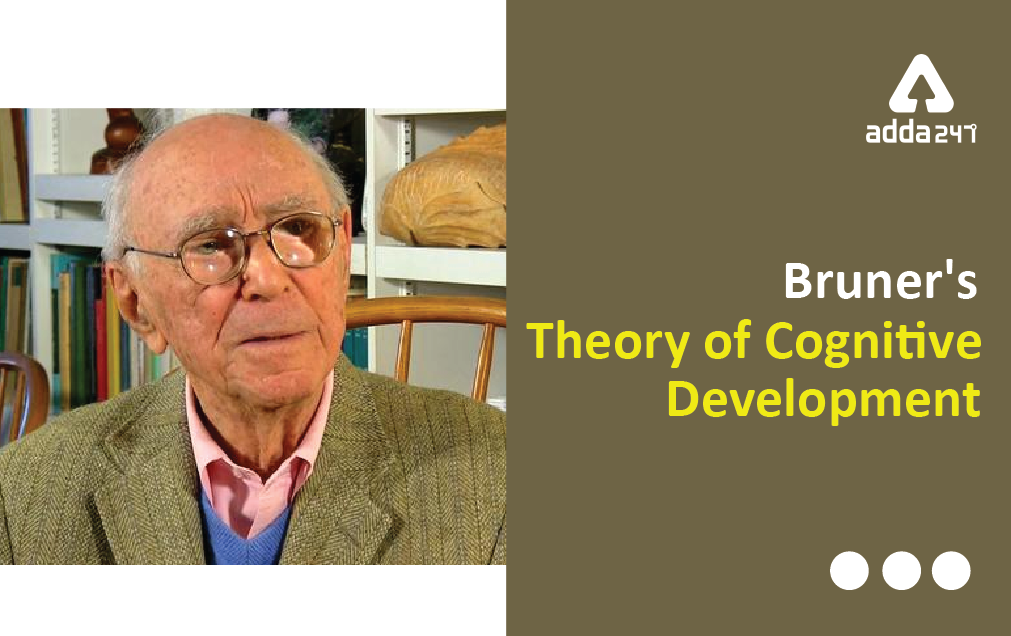cognitive development theory of bruner