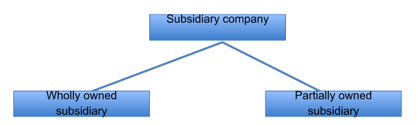 Holding Company Accounts, Download UGC NET Study Note PDF_3.1