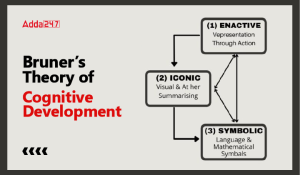 Bruner’s Theory of Cognitive Development-01