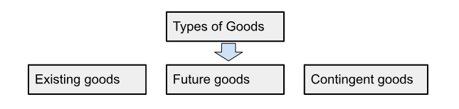 Types of Goods