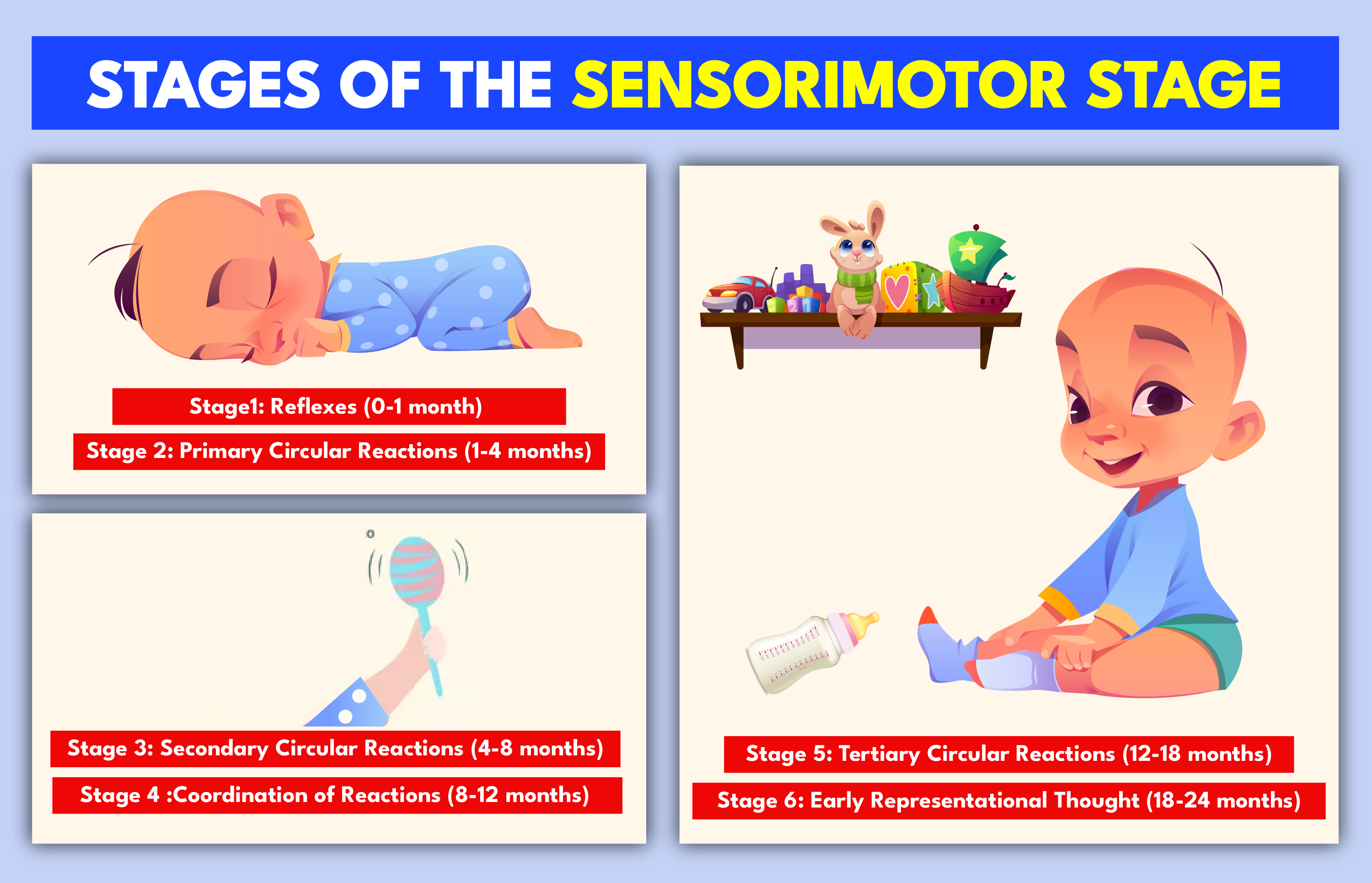 What is Sensorimotor Stage Check Stages Examples