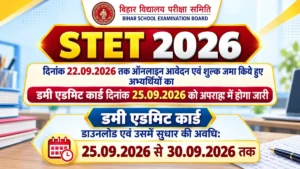 Bihar STET Dummy Admit Card 2026 Out @bsebstet.org (Today), Download Paper 1 & 2 PDF