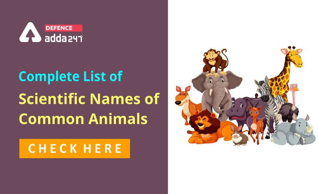 Scientific Names of Animals, Complete List of Scientific Names of Common Animals_40.1