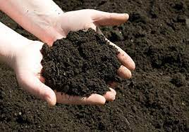 Types of Soil in India - 6 Different Types of soil - Adda247 Punjab Types of soils