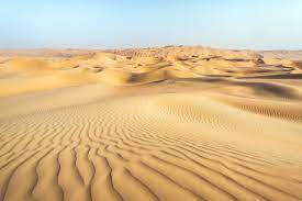 Types of Soil in India - 6 Different Types of soil - Adda247 Punjab Types of soils