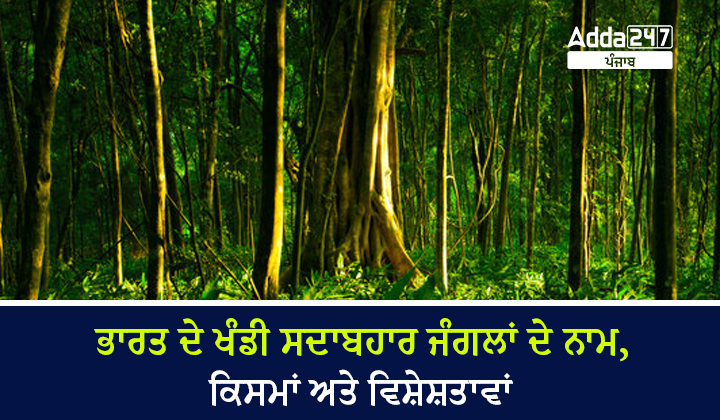 ਭਾਰਤ ਦੇ ਖੰਡੀ ਸਦਾਬਹਾਰ ਜੰਗਲ