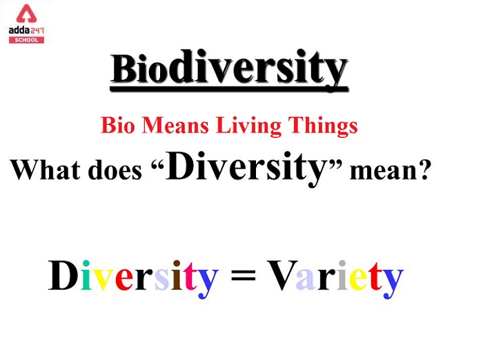 Biodiversity Meaning defination