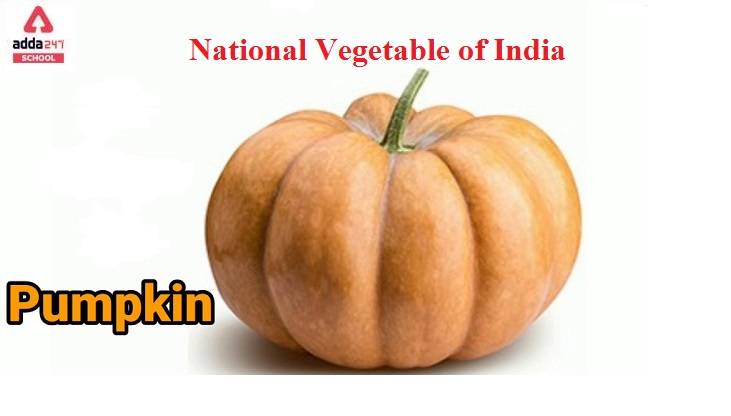 National Vegetable of India- Pumpkin | adda247_40.1