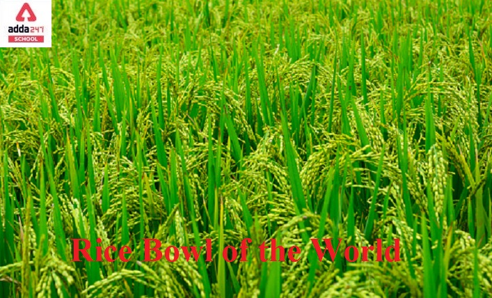 Rice Bowl of the world