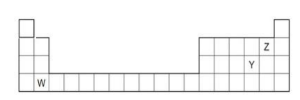 CBSE Class 10 Science Term 2 Sample Paper & Solutions_90.1