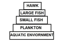 CBSE Class 10 Science Term 2 Sample Paper & Solutions_120.1