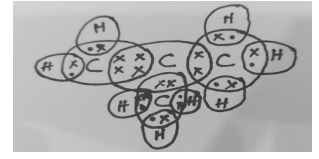 CBSE Class 10 Science Term 2 Sample Paper & Solutions_140.1