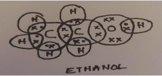 CBSE Class 10 Science Term 2 Sample Paper & Solutions_150.1