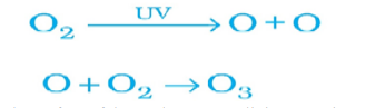 CBSE Class 10 Science Term 2 Sample Paper & Solutions_190.1