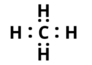 Class 10 Science Previous Year Question Paper PDF, Last 10 Year PYQ with Solutions -_27.1