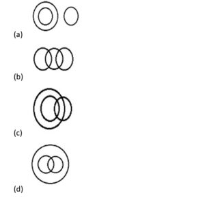 CUET General Test Question Paper 2025 with Solutions, GAT Most Important Questions_7.1