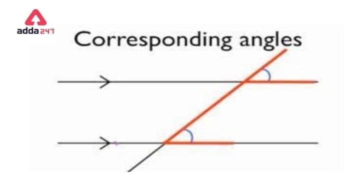 Types of Angles for Class 5 to 9 in Maths- Check Definitions -_16.1