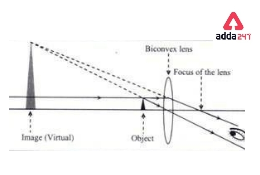 Simple Microscope Diagram, Formula, Definition, Discoverd by -_5.1