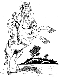 white horse