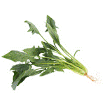 Amaranth Leaves