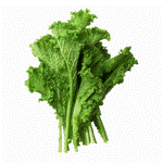 100 Vegetables Name in English with Pictures_49.1
