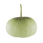 100 Vegetables Name in English with Pictures_62.1