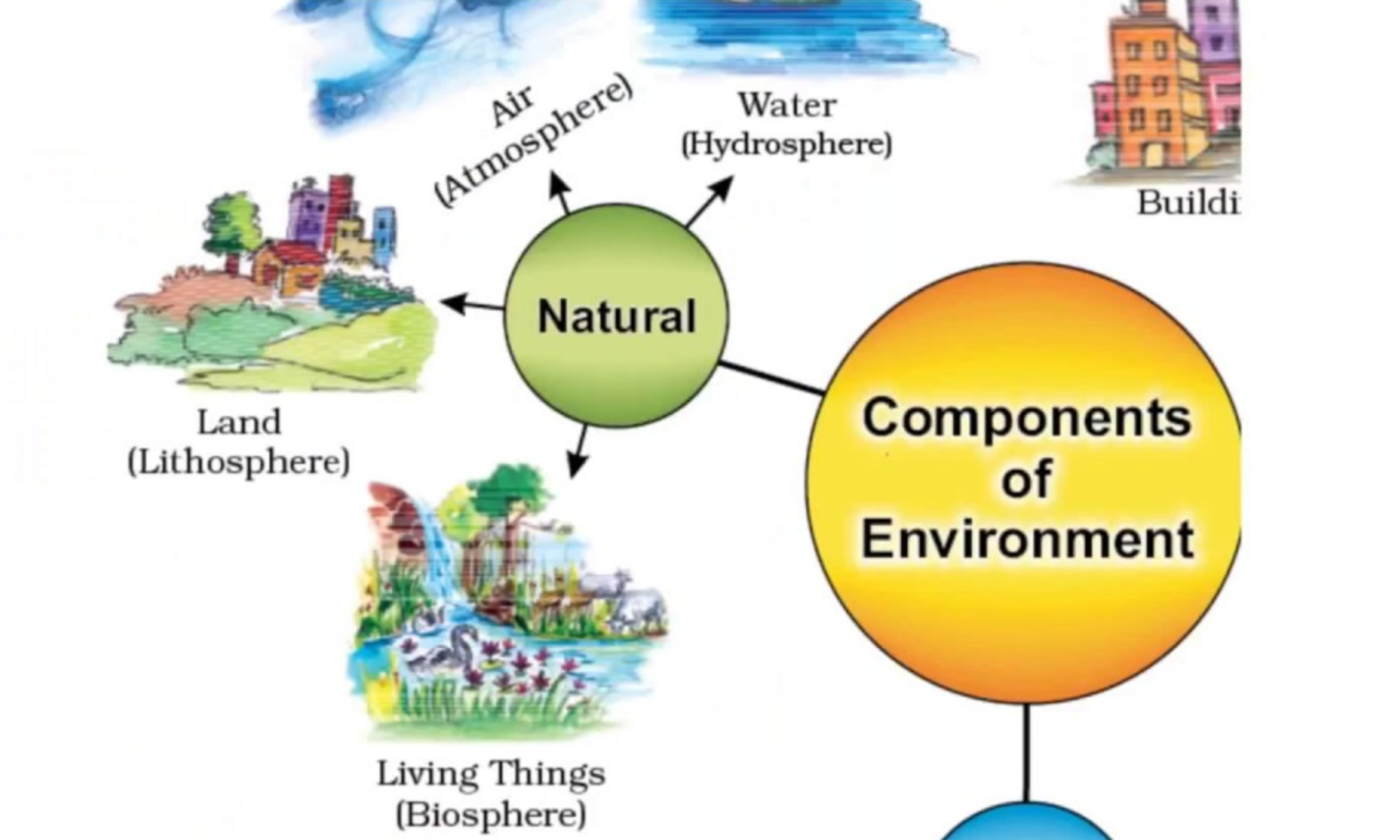 Components of environment definition diagram pdf for class 7