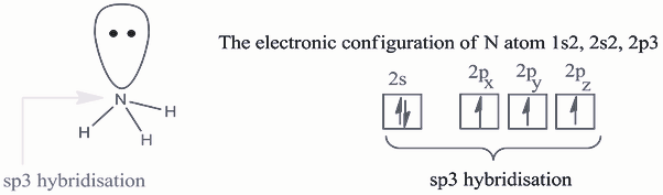 sp, sp2, sp3 Hybridization Examples, sp3d2 Shape & Structure