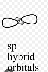 sp hybridization shape