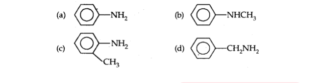 Chemistry Class 12 Board Question Paper 2024- Expected Test -_5.1